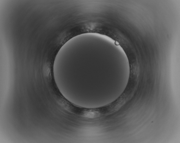 X0000111460754200908101054