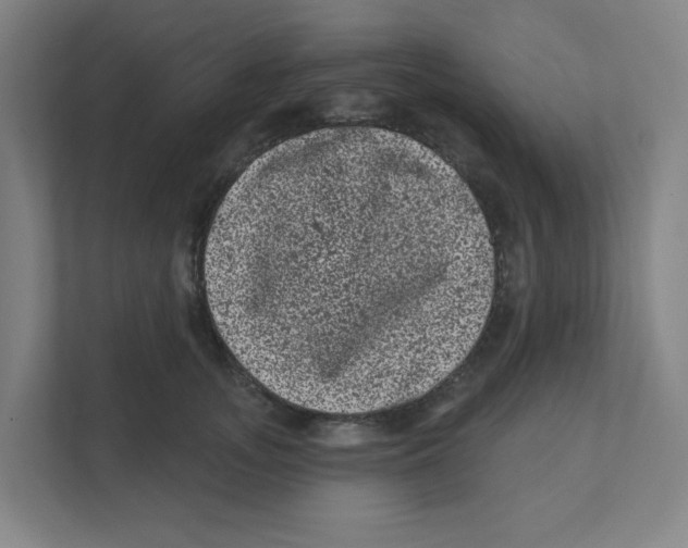 X0000111460755200908101054