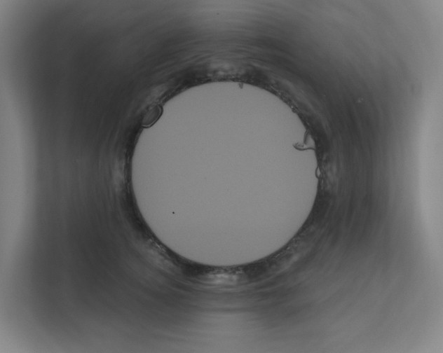 X0000111460756200908101054