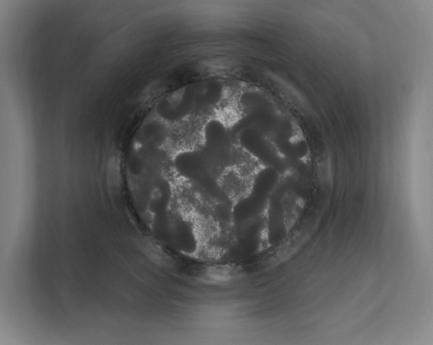 X0000111460757200908101054