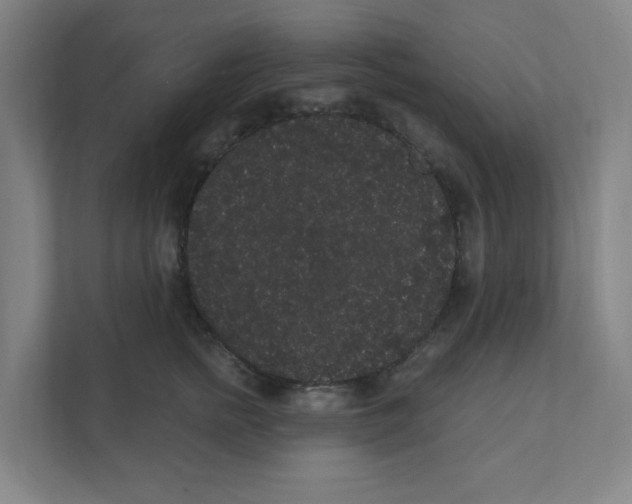 X0000111460758200908101054