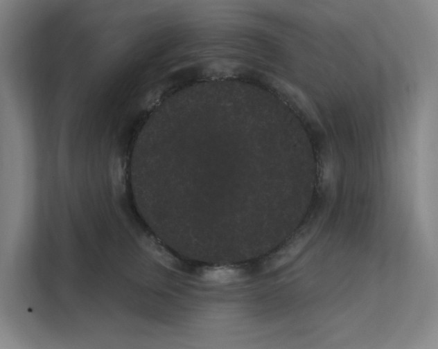 X0000111460759200908101054