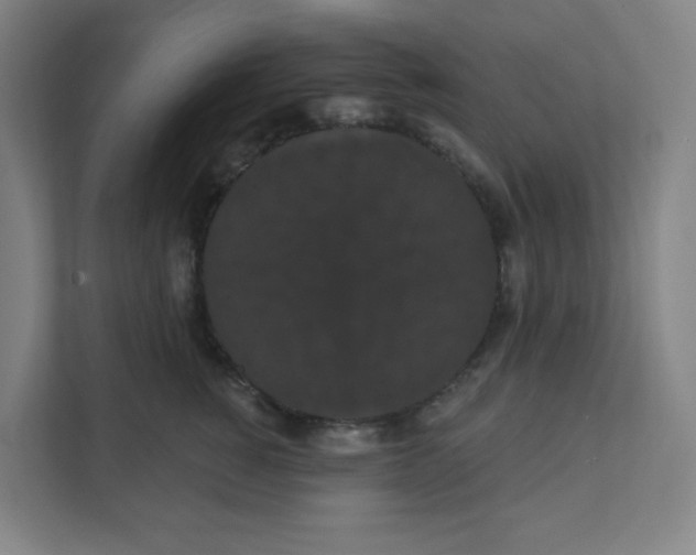 X0000111460760200908101054