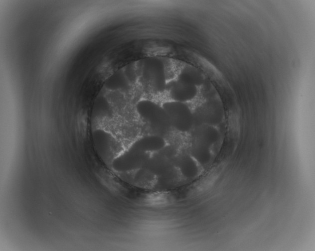 X0000111460761200908101054