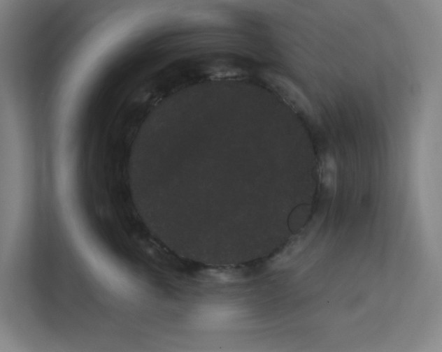X0000111460763200908101054