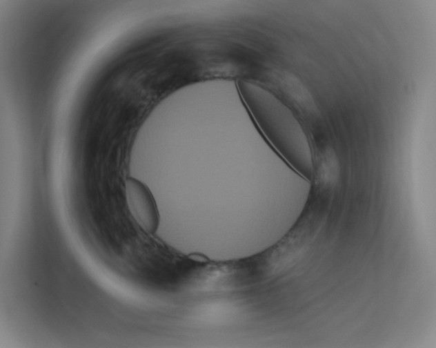 X0000111460764200908101054