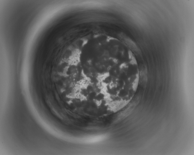 X0000111460765200908101054