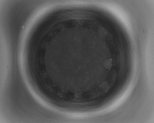X0000111460766200908101054