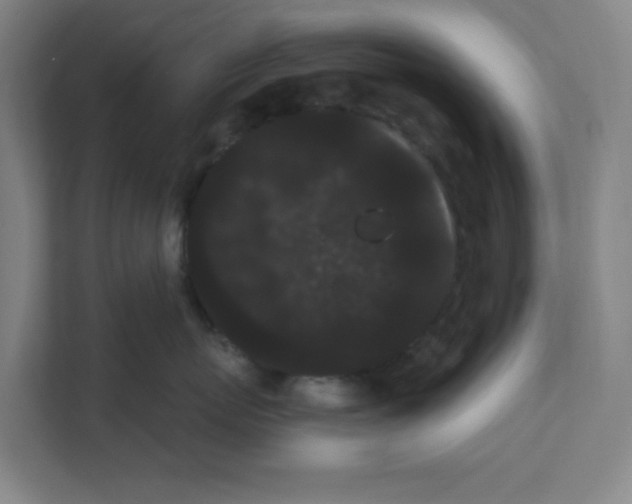 X0000111460767200908101054