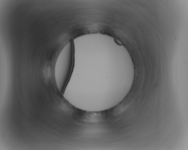 X0000111460768200908101054