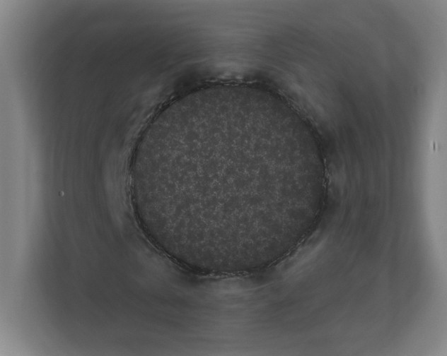 X0000111460769200908101054