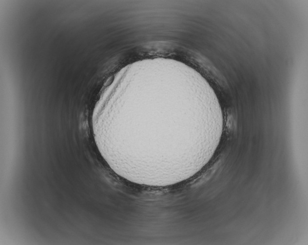 X0000111460771200908101054