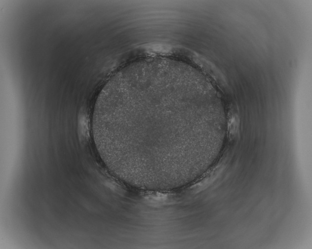 X0000111460772200908101054