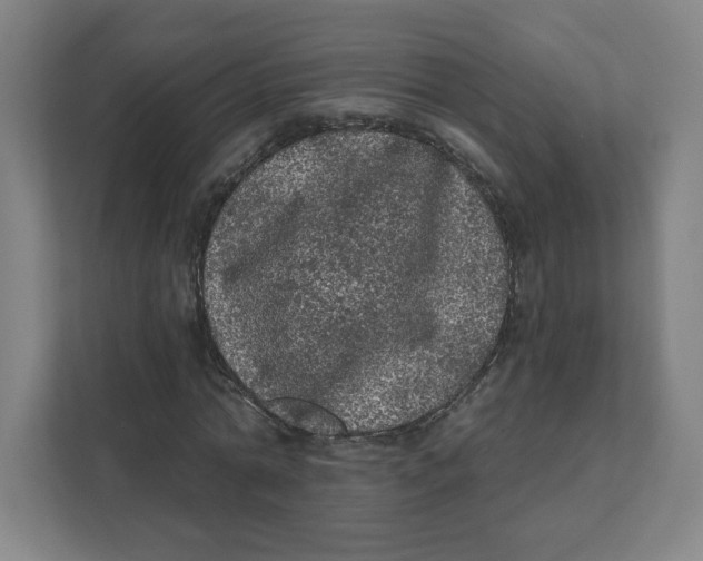 X0000111460774200908101054