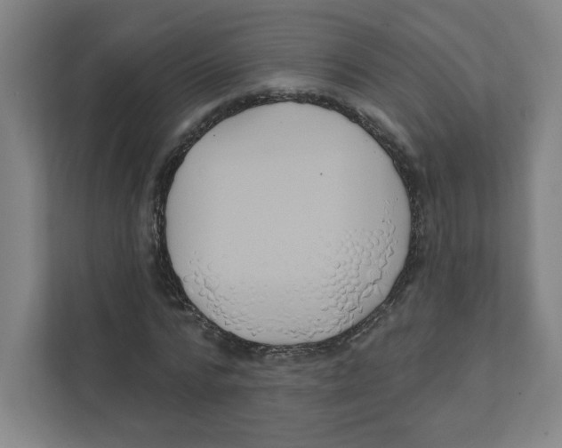 X0000111460776200908101054