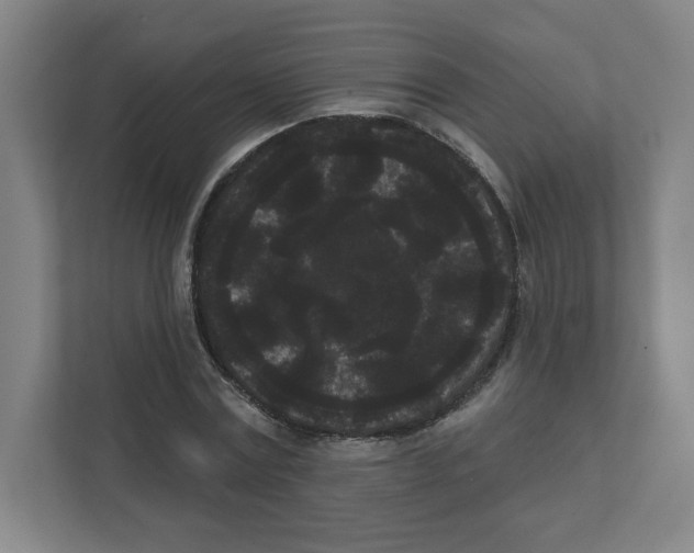 X0000111460779200908101054