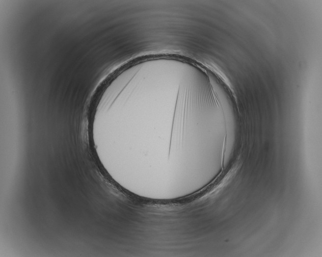 X0000111460781200908101054