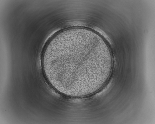X0000111460782200908101054