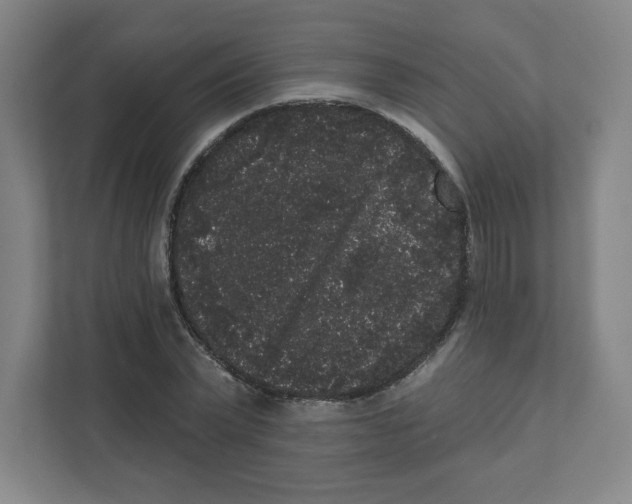 X0000111460783200908101053