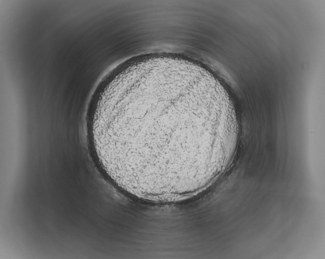 X0000111460784200908101053