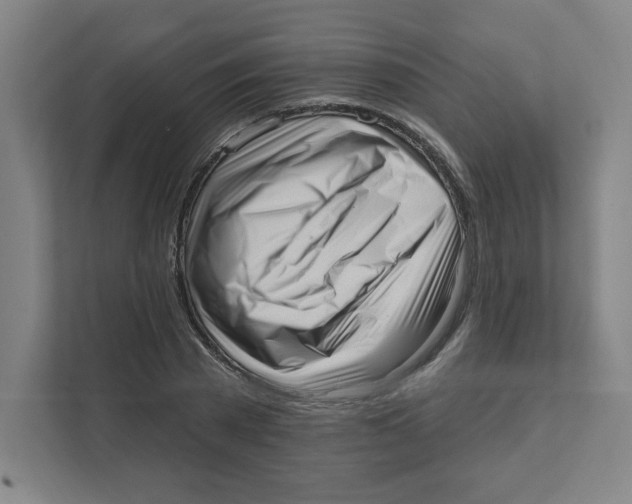 X0000111460785200908101053