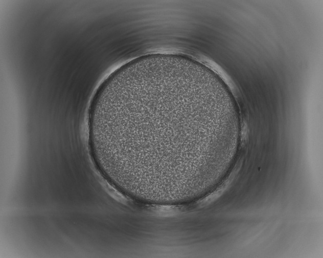 X0000111460787200908101053