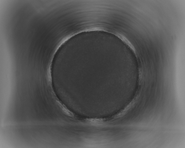 X0000111460789200908101053