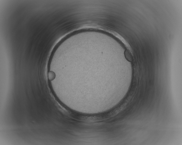 X0000111460791200908101053