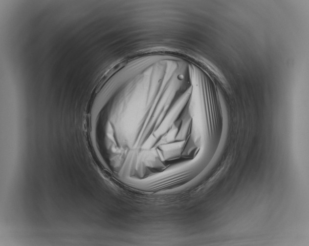 X0000111460793200908101053