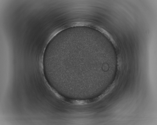 X0000111460794200908101053