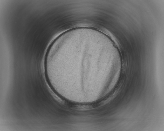 X0000111460795200908101053
