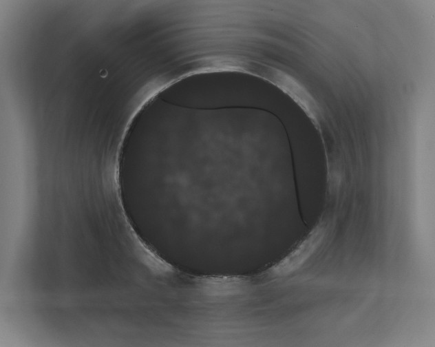 X0000111460797200908101053
