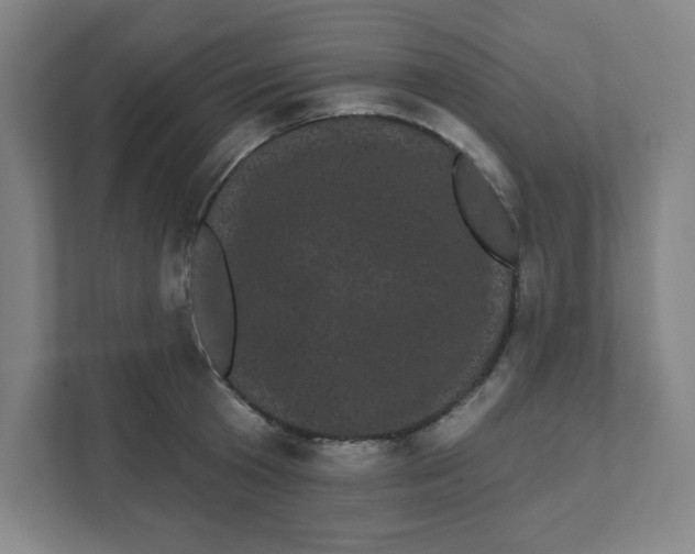 X0000111460801200908101053