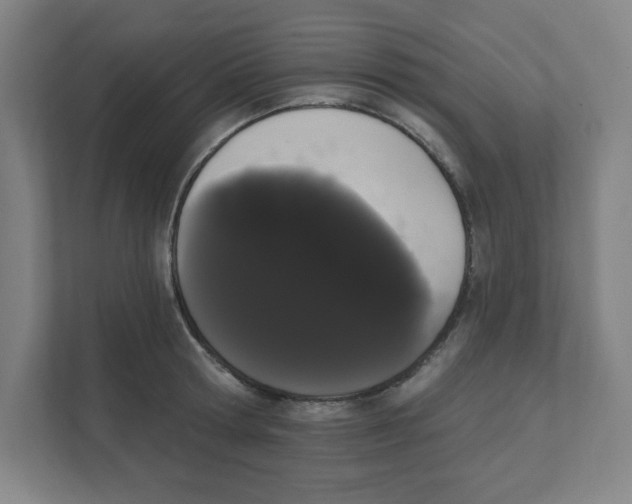 X0000111460802200908101053