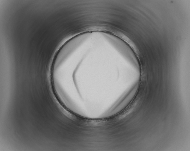 X0000111460803200908101053