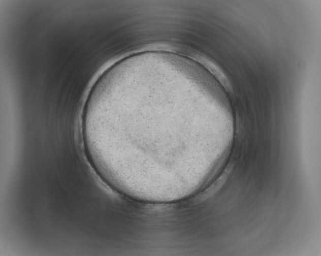 X0000111460808200908101053