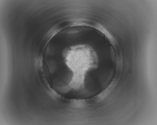 X0000111460809200908101053