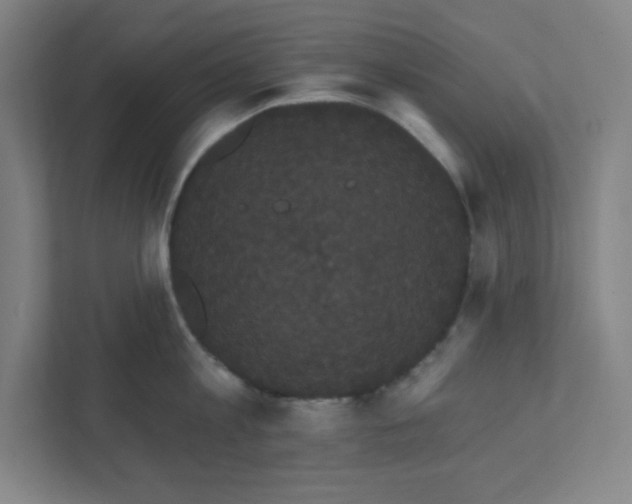 X0000111460813200908101053