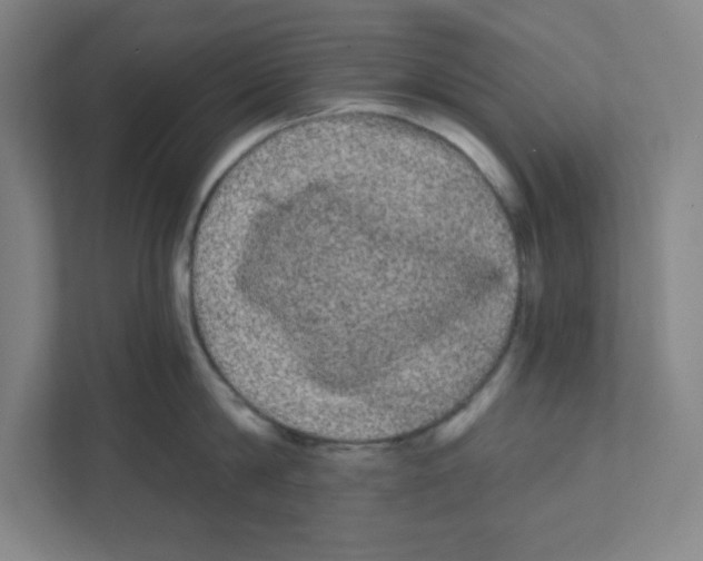 X0000111460814200908101053