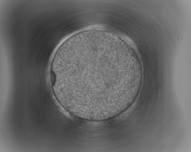 X0000111460816200908101053