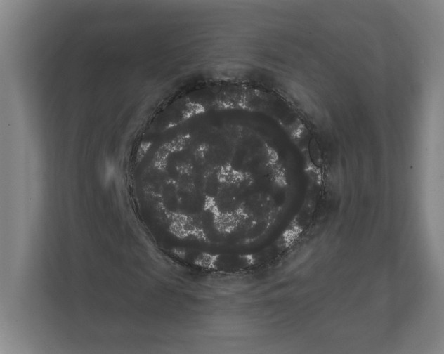 X0000111460817200908101052