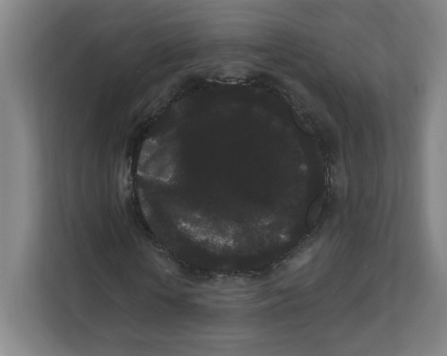 X0000111460818200908101052