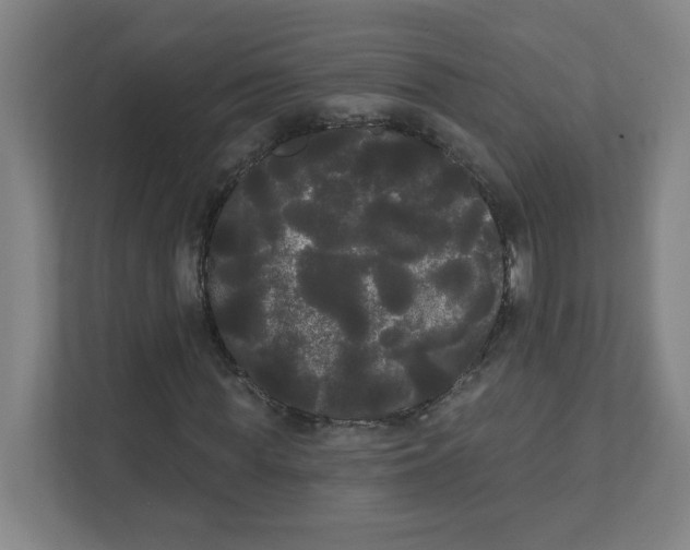 X0000111460819200908101052
