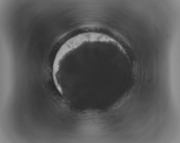 X0000111460822200908101053