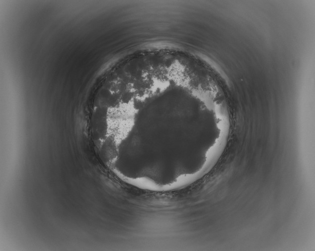 X0000111460823200908101053