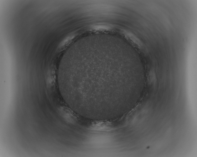 X0000111460824200908101053