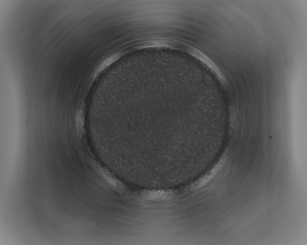 X0000111460826200908101053