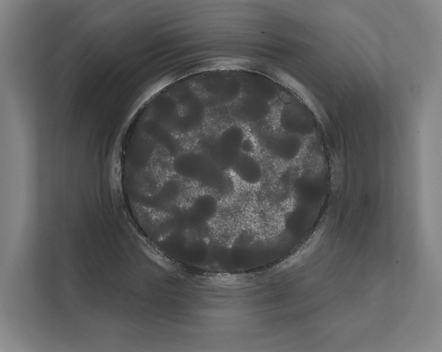 X0000111460827200908101053