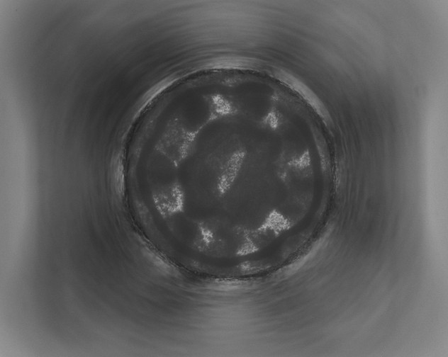 X0000111460829200908101053