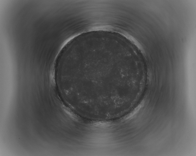 X0000111460830200908101053
